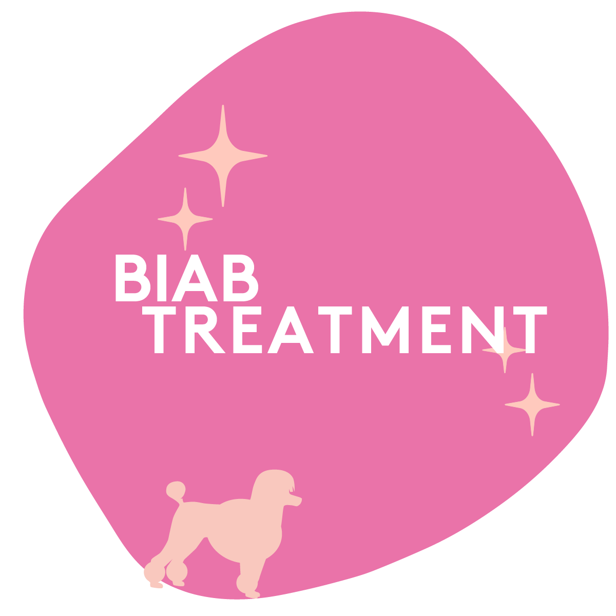 BIAB Treatment — Heerlak