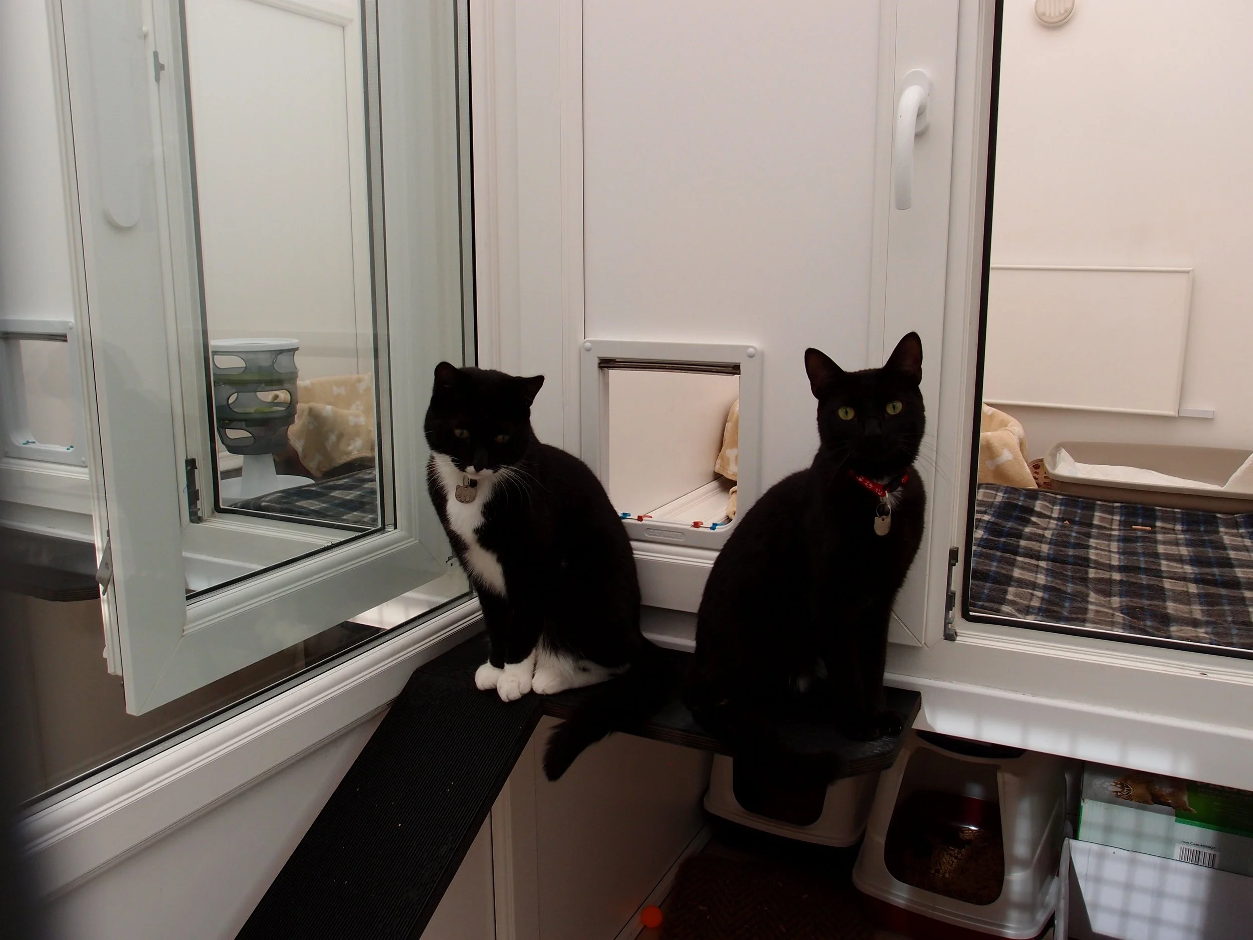 Tux & Penny