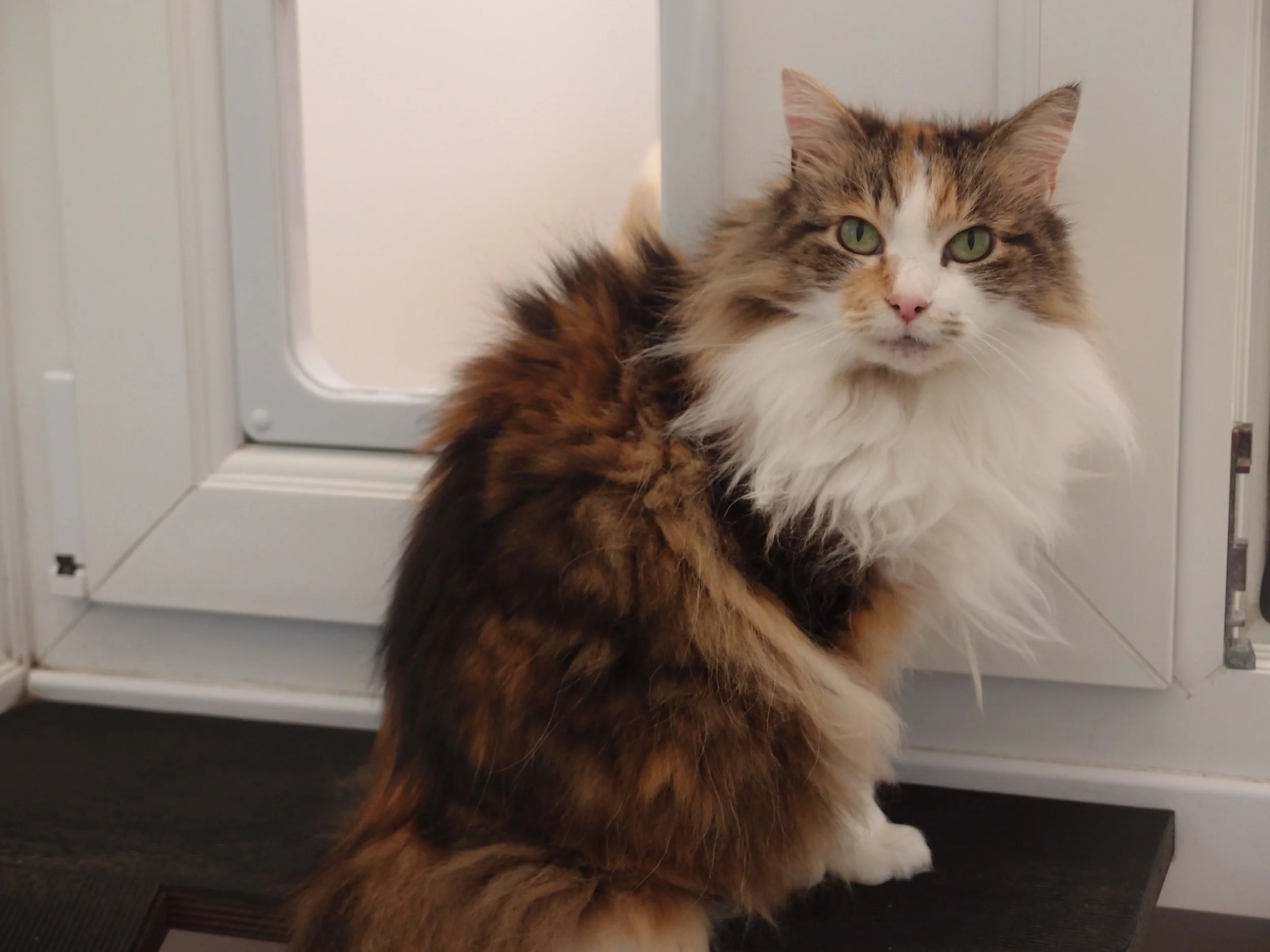 Zita