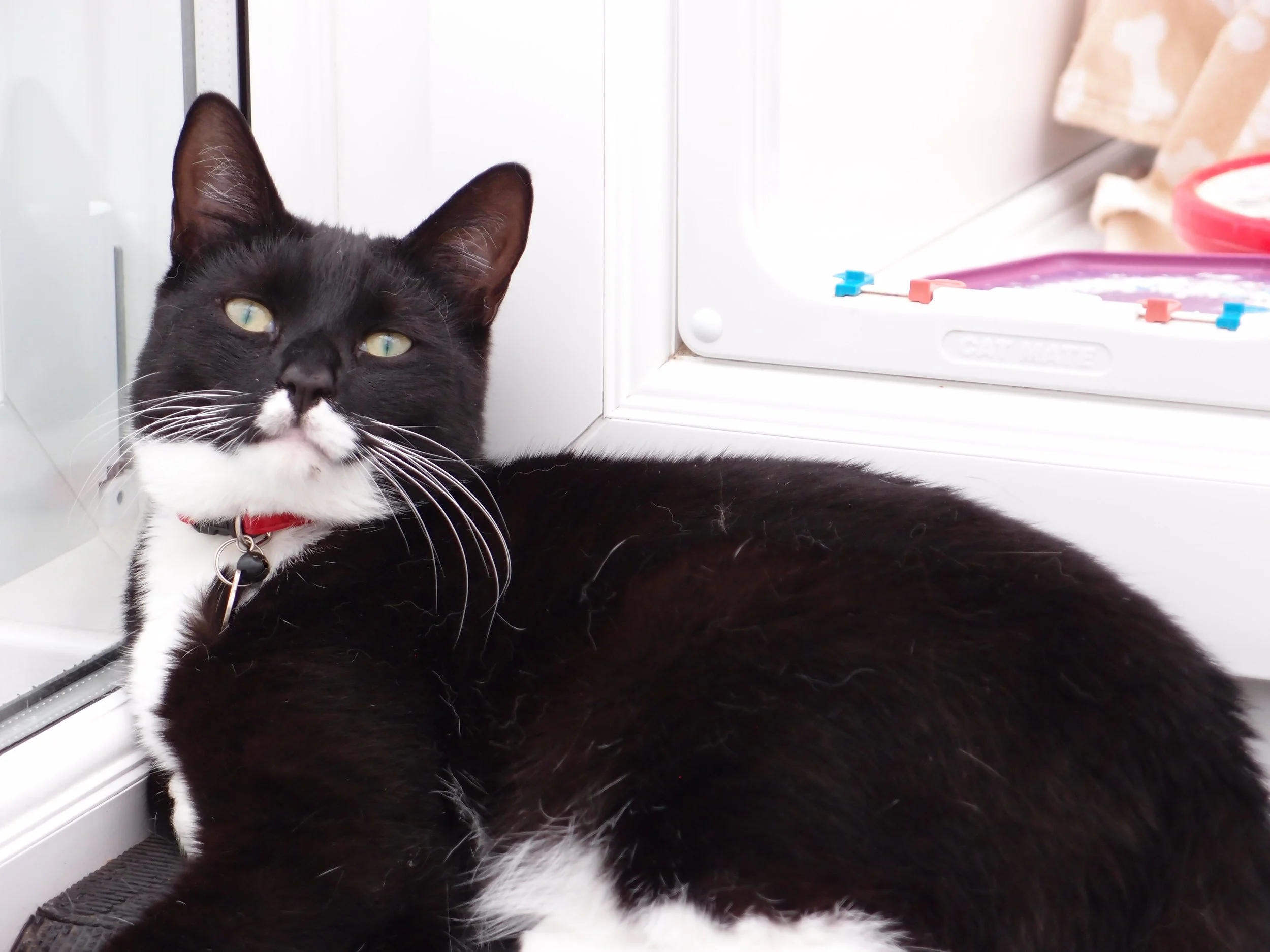 Tux