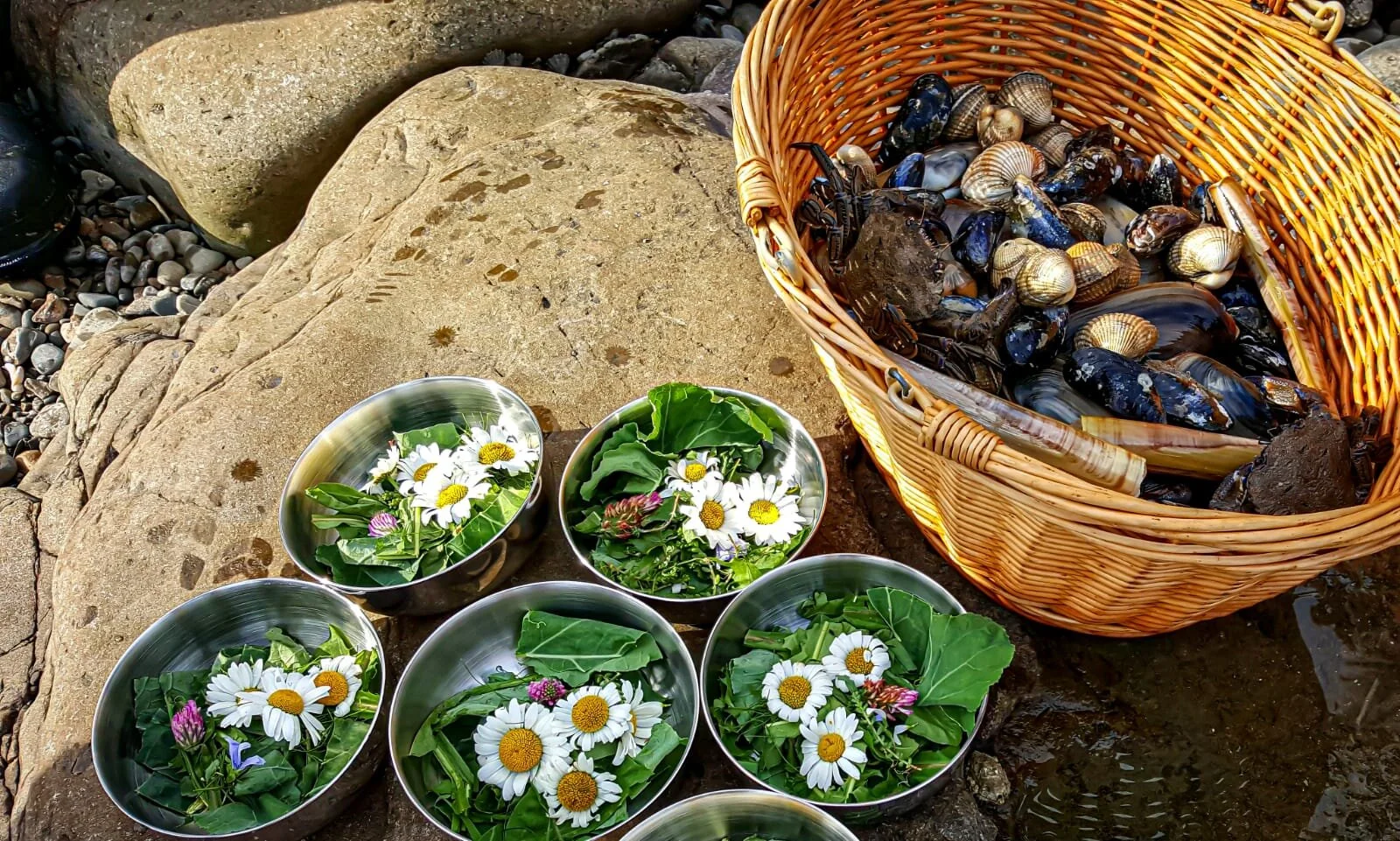 Coastal Foraging Pembrokeshire