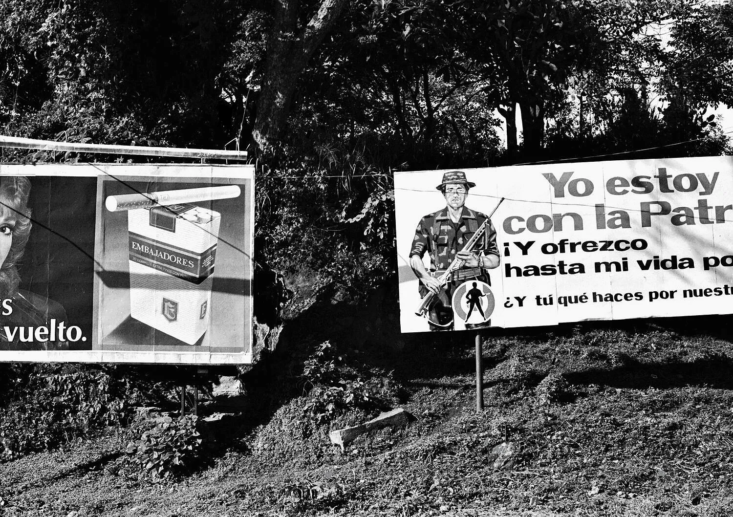 TWO DEATHS         —     on side of the Pan American Highway