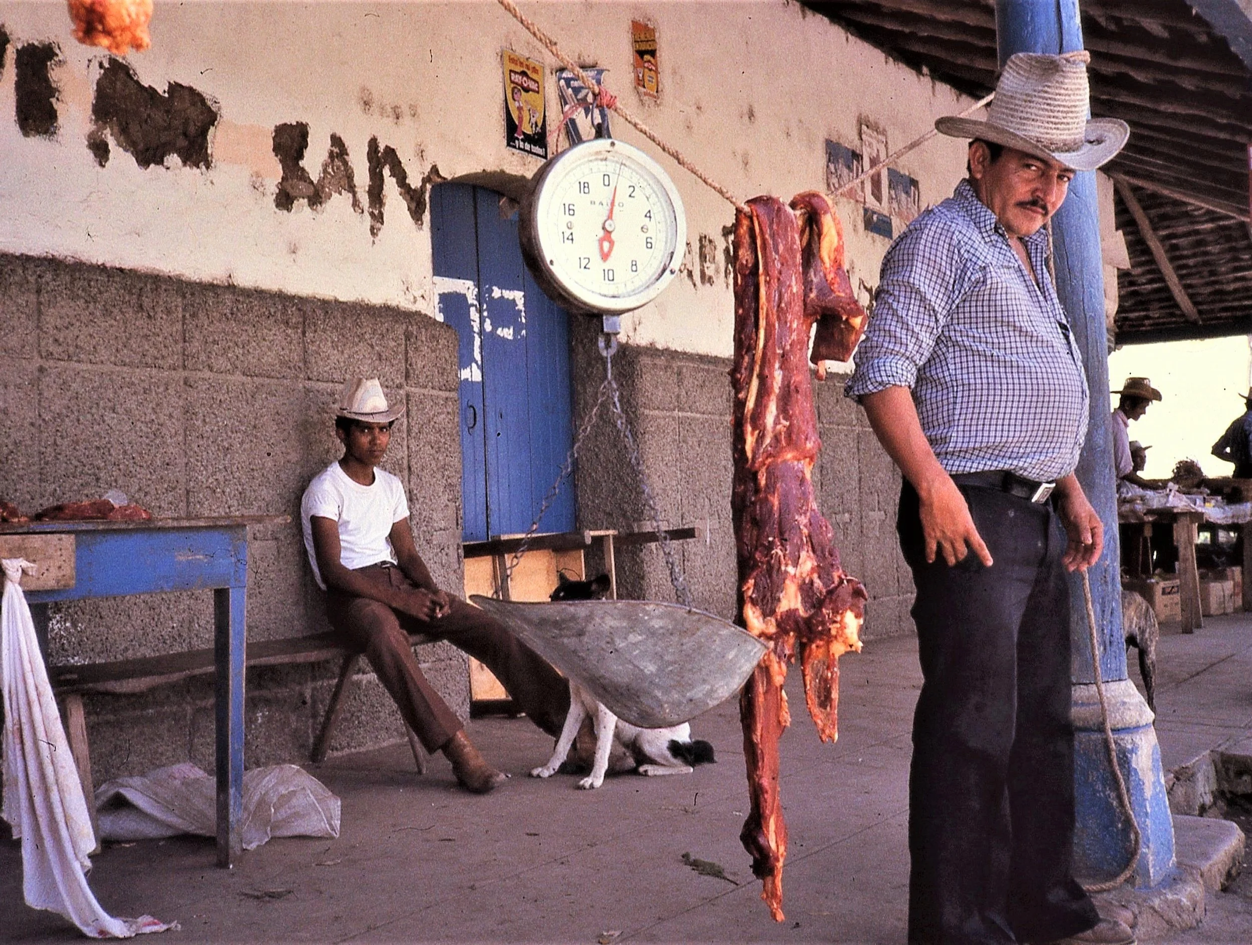 84%252Bm8m%252B%252Blean%252Bbeef%252B%2525282