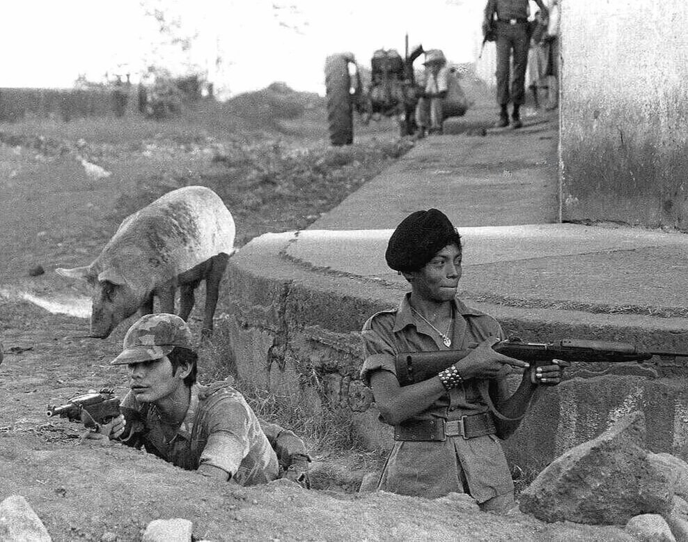 DEFENDING THE PIG - Juiquilisco