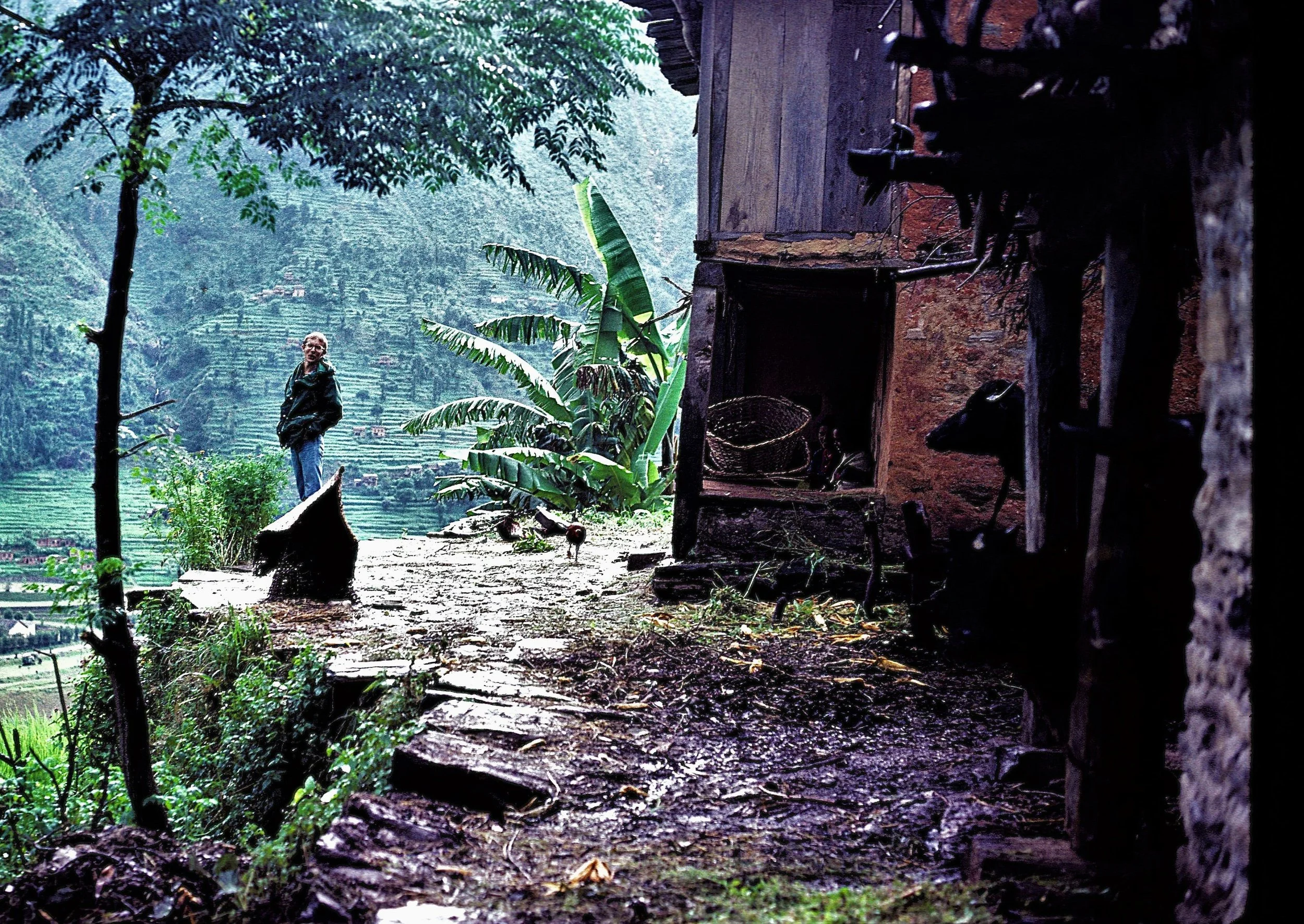 80 s4c Him - me cow (4)xxttcropped.jpg