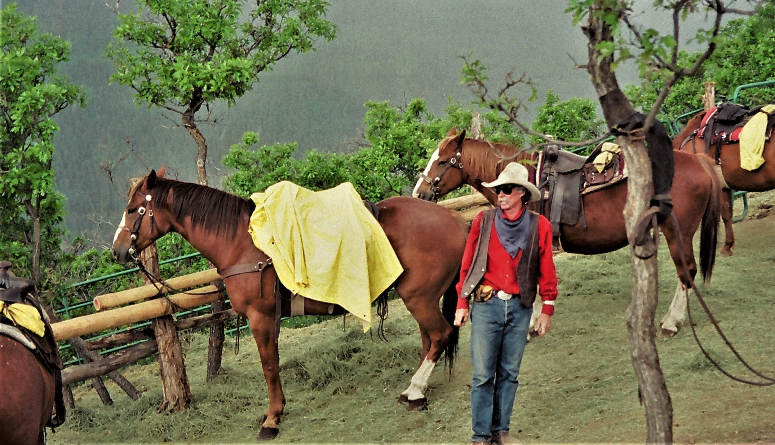 2003 kg rudy (5)xxxrr55.jpg