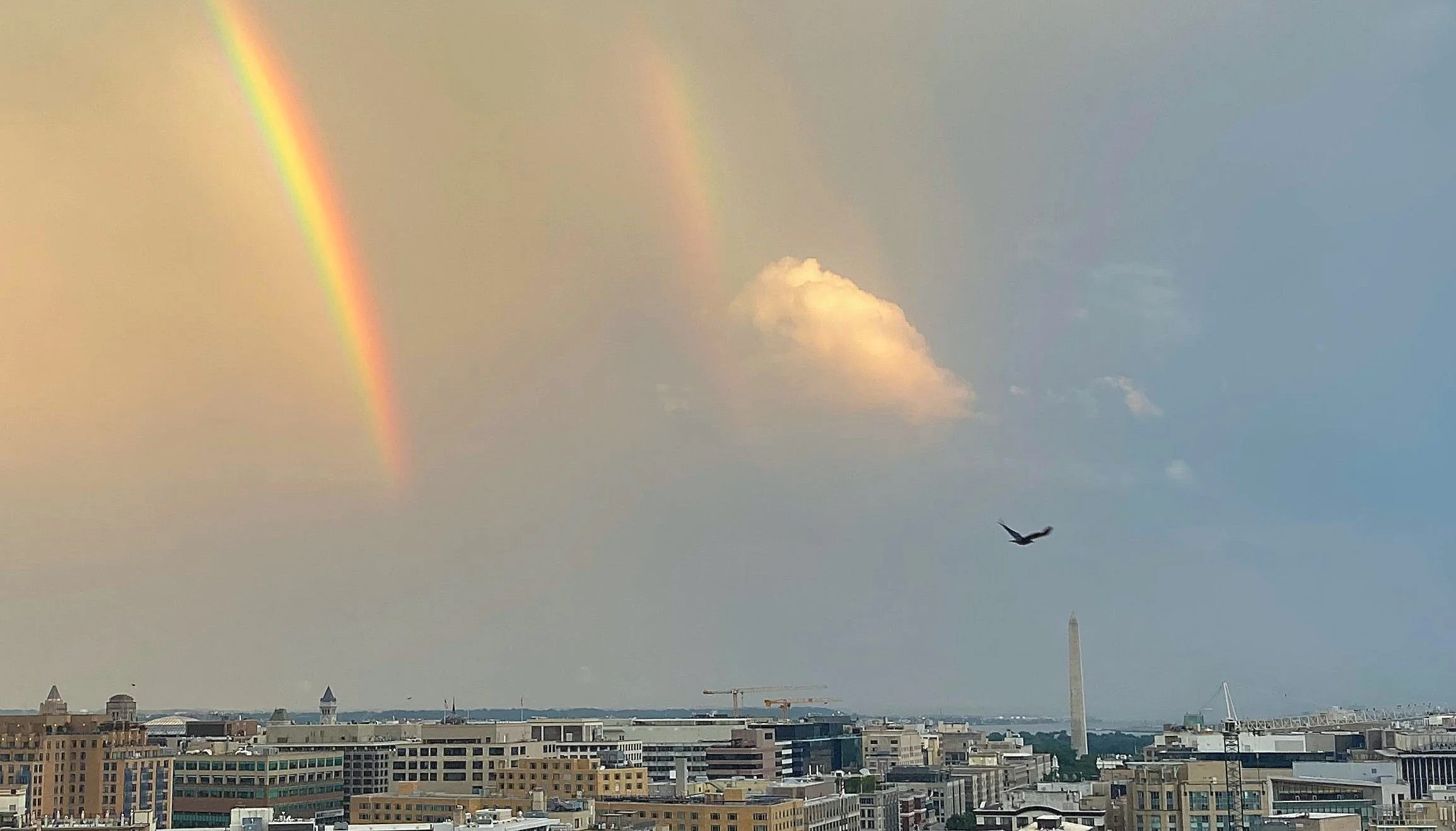 2022 m Free Bird - Reincarnation of Ronnie Van Zant.jpg