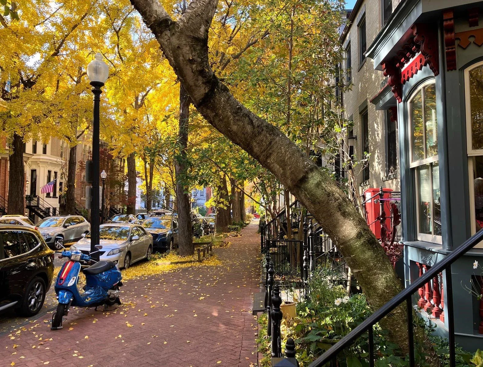 2024 - Perfect Street Nov. 30bb.jpg