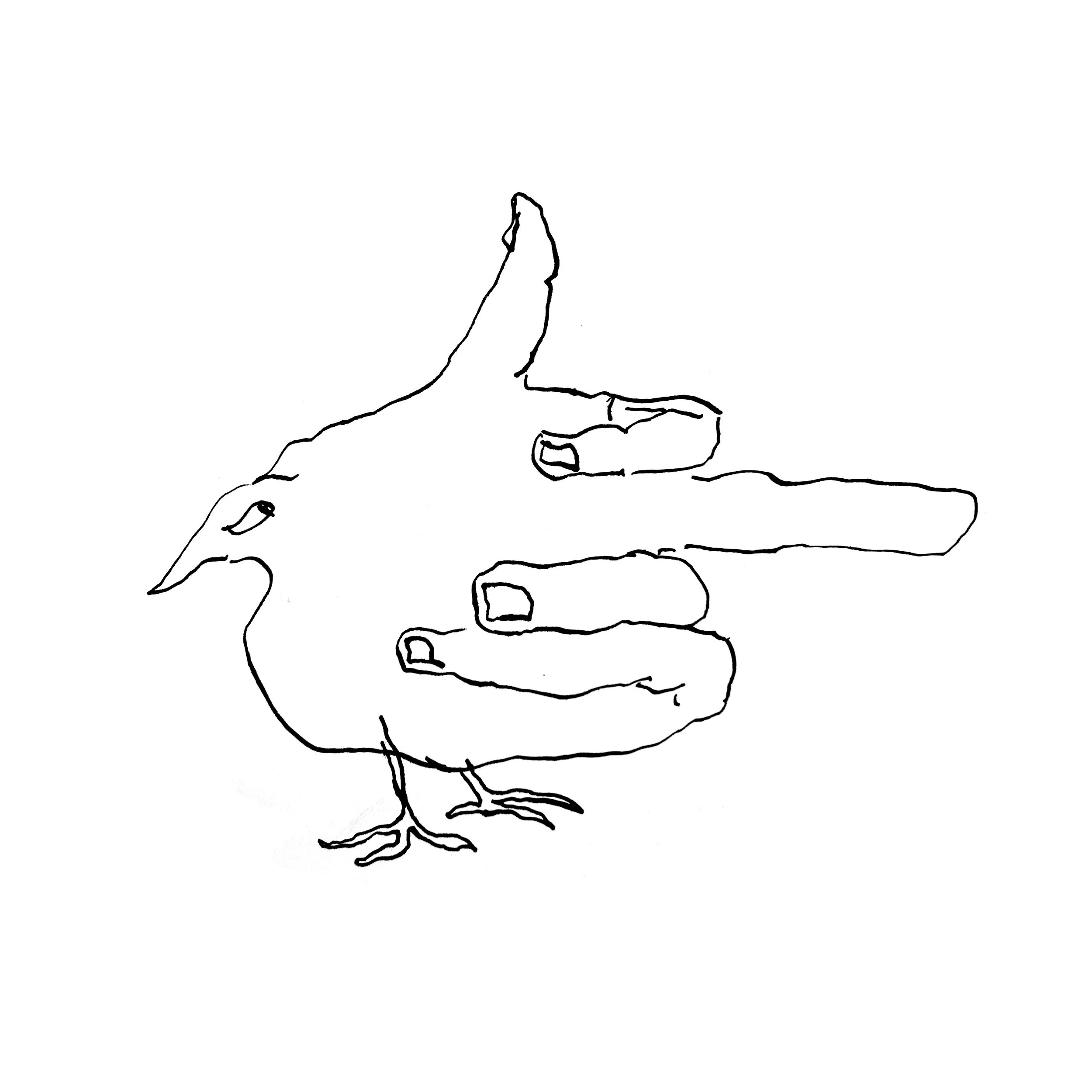 rude pigeon.jpg