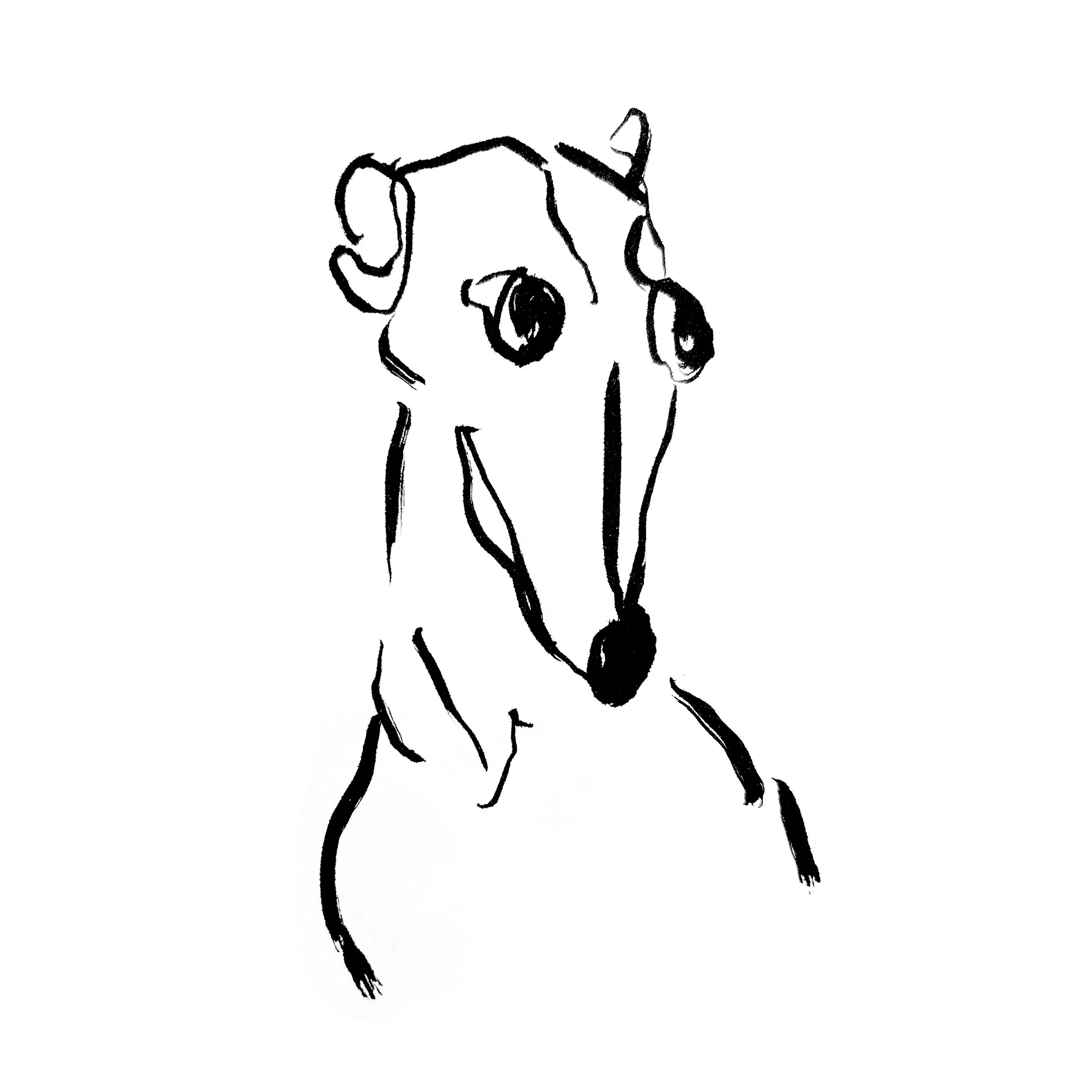 nervous.jpg
