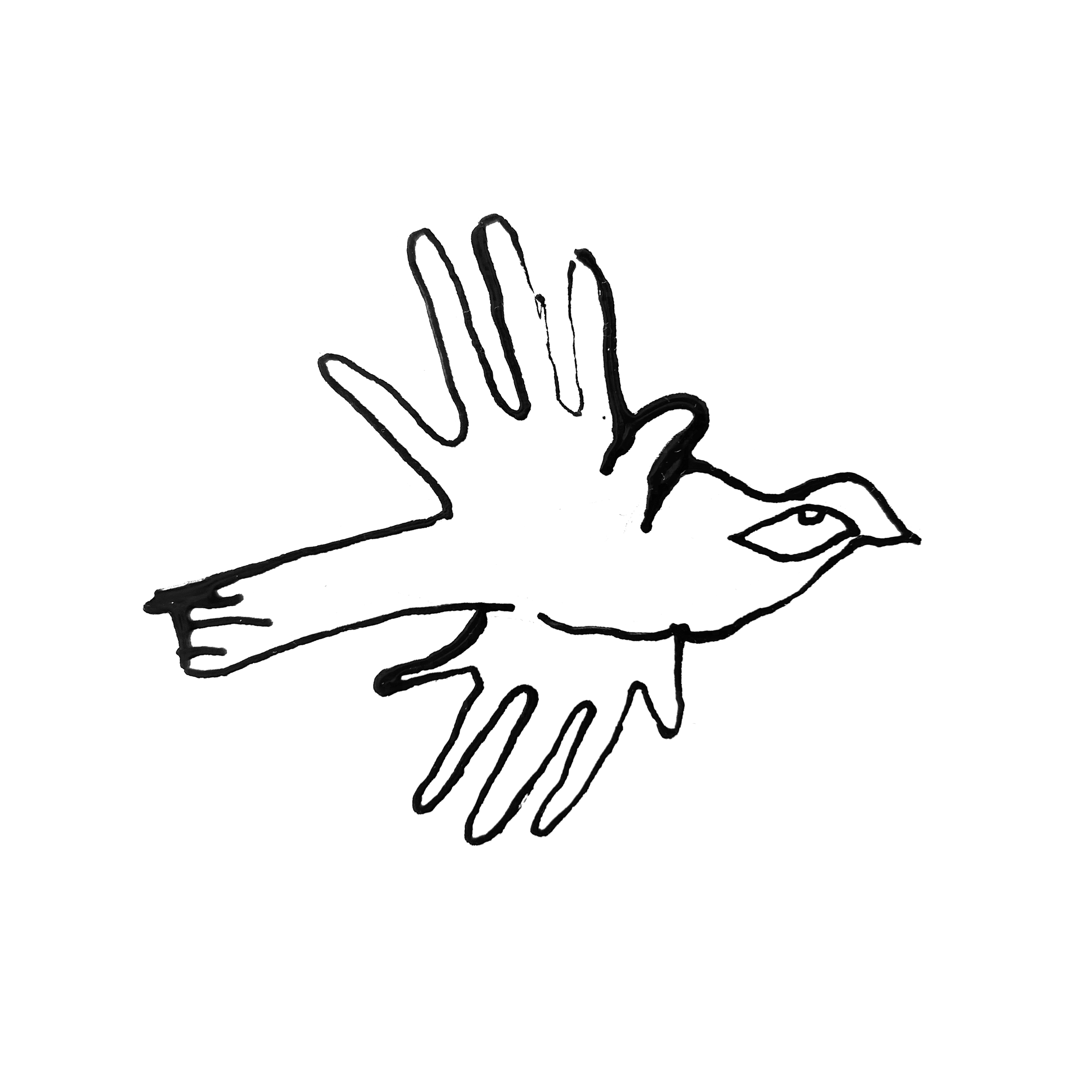 flying hands.png