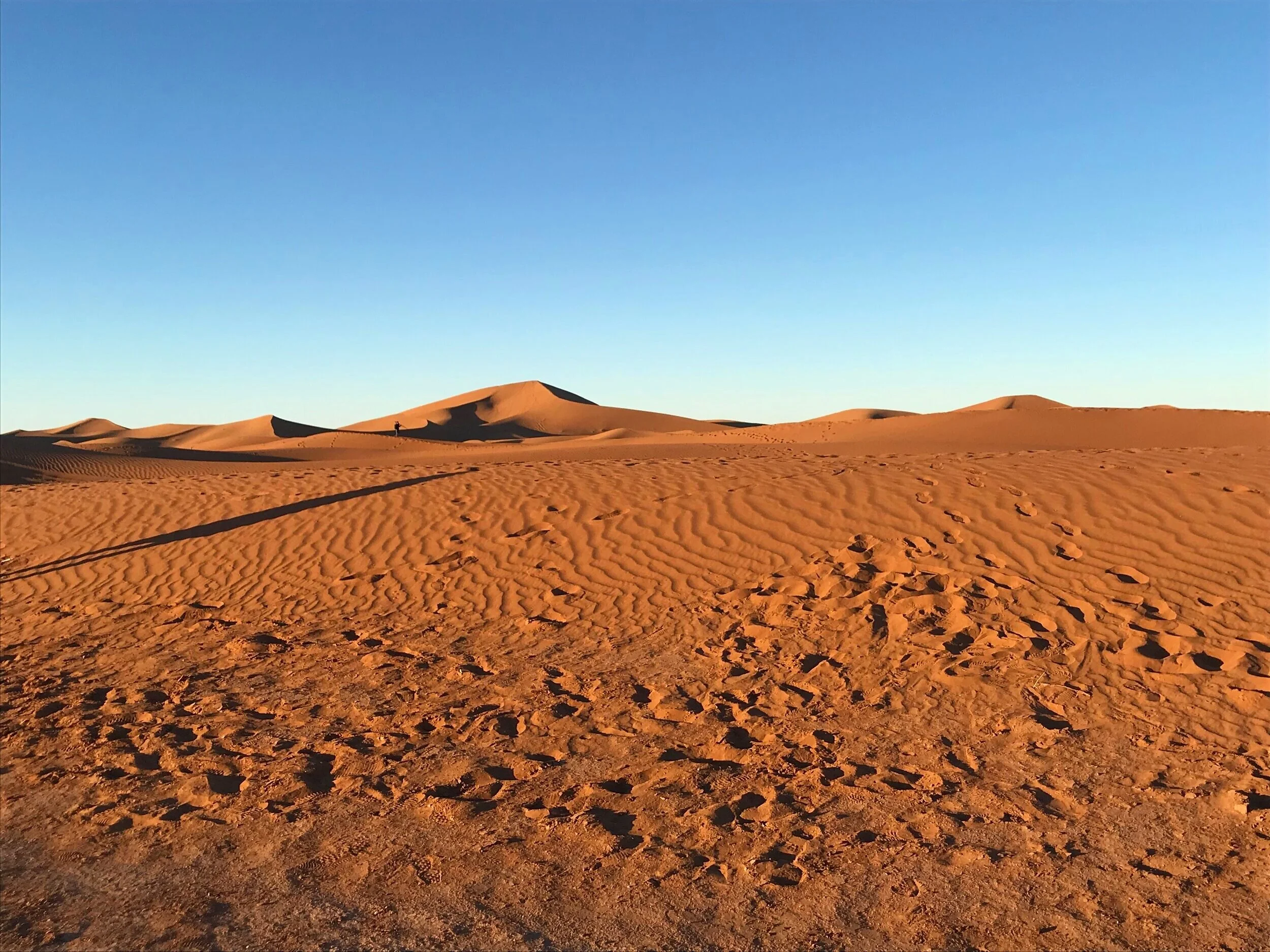 2019-02-10+08.43.19.jpg