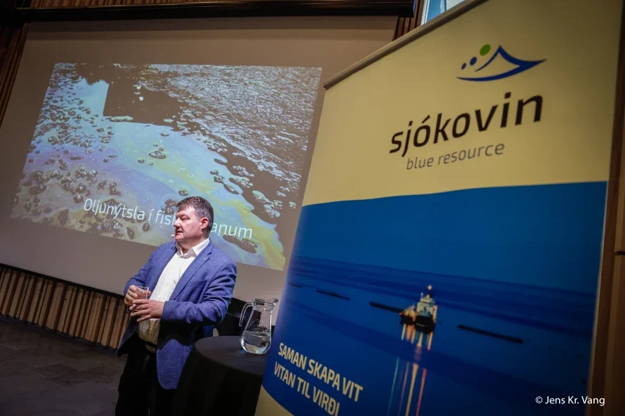 1777543868wpgfurkoav.webp