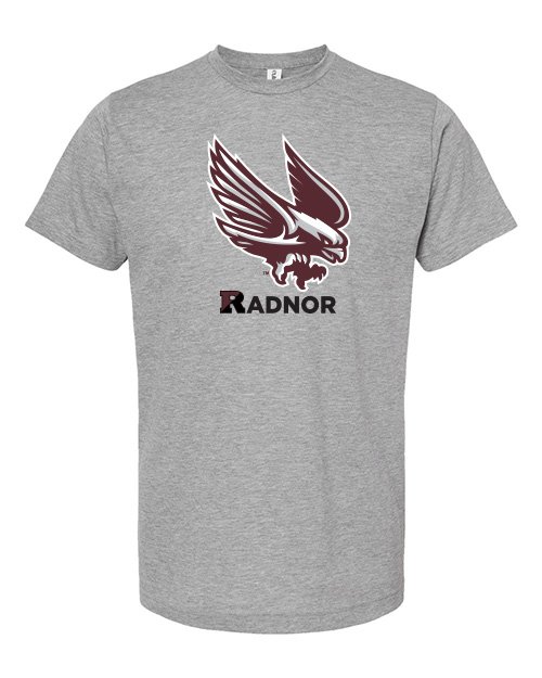 Tultex_241_Heather_Grey_RaptorRadnor.jpg