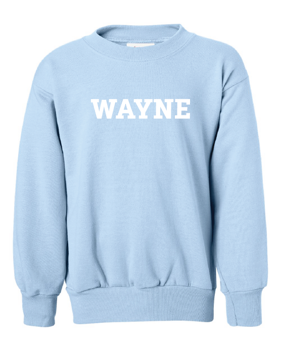 LightBlue_CrewneckSweatshirt.webp