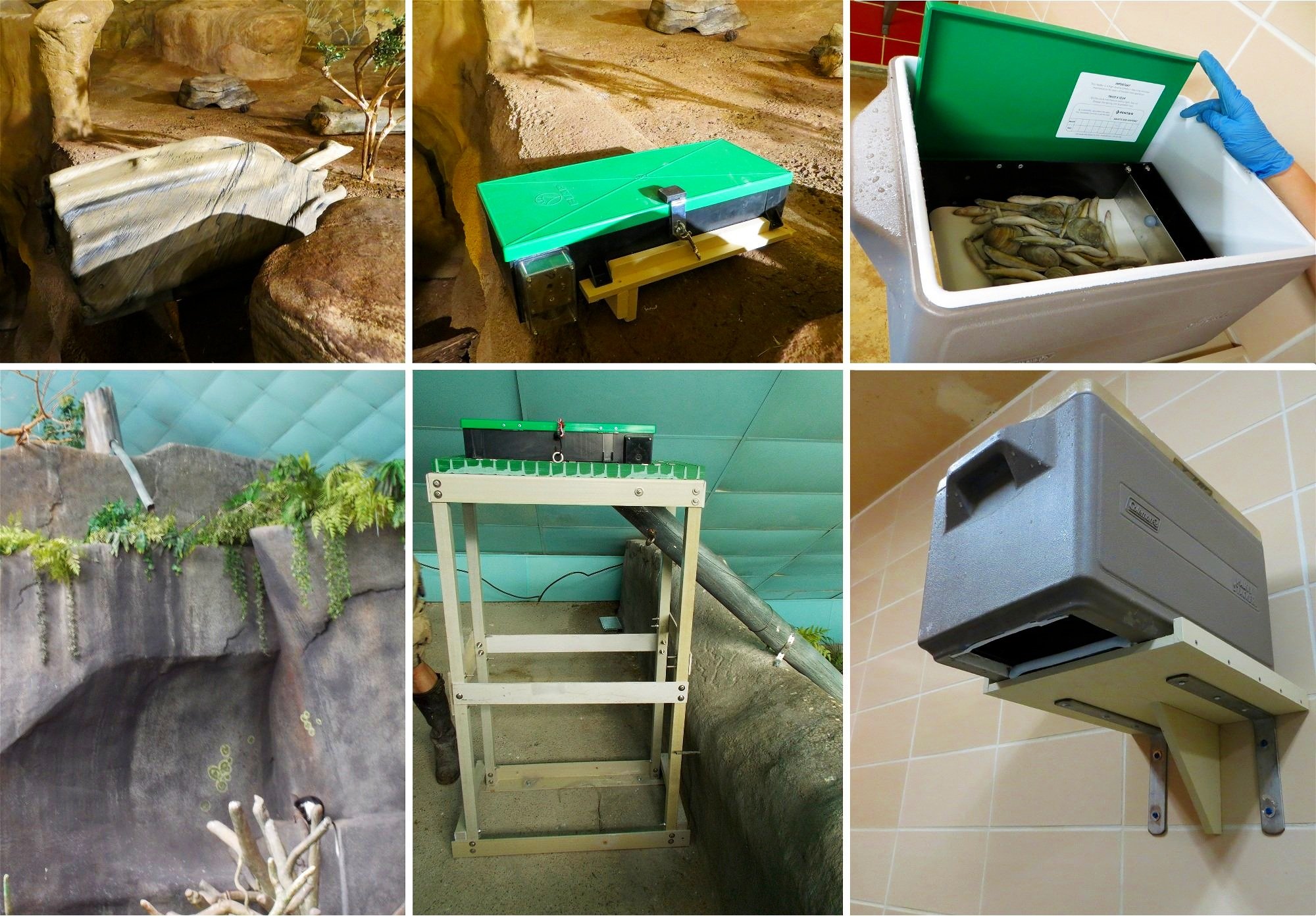 Timed Feeders — Zoo Enrichment Lab