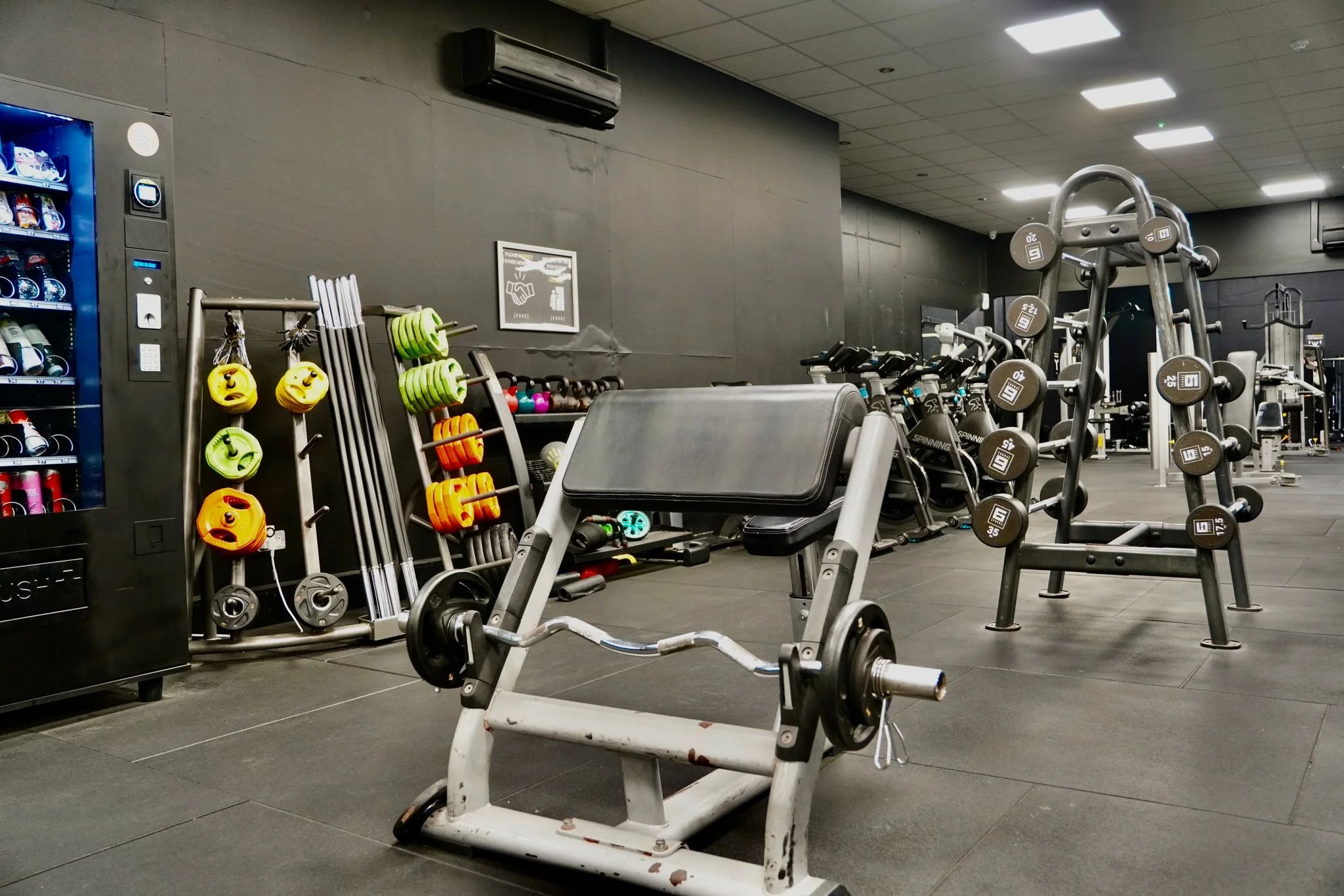 Preacher Curl-Free weights.jpeg
