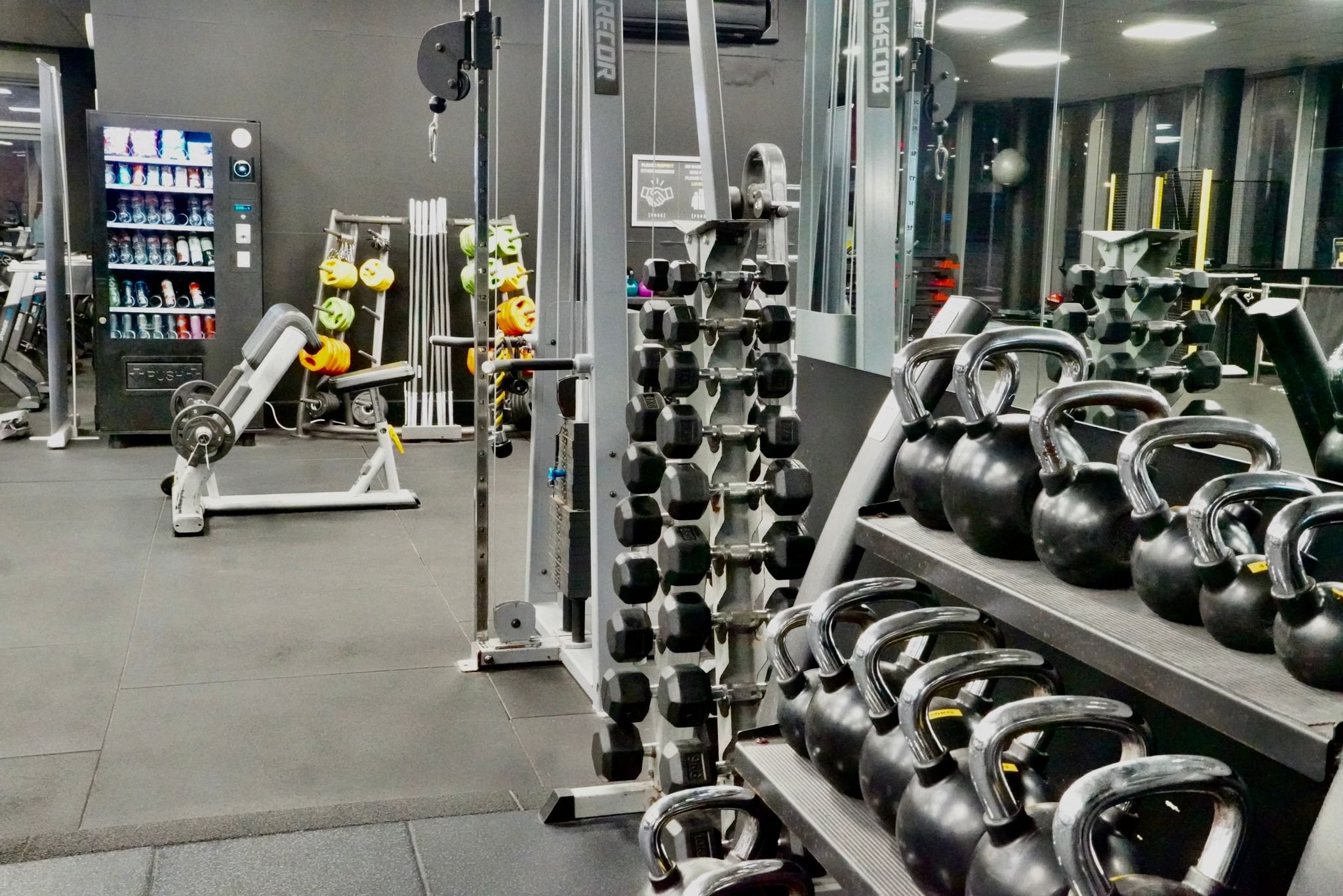 Dumbbells.jpeg