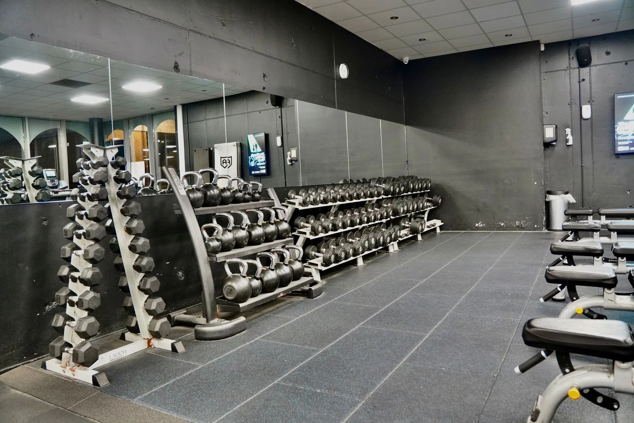 Dumbbells 2.jpeg