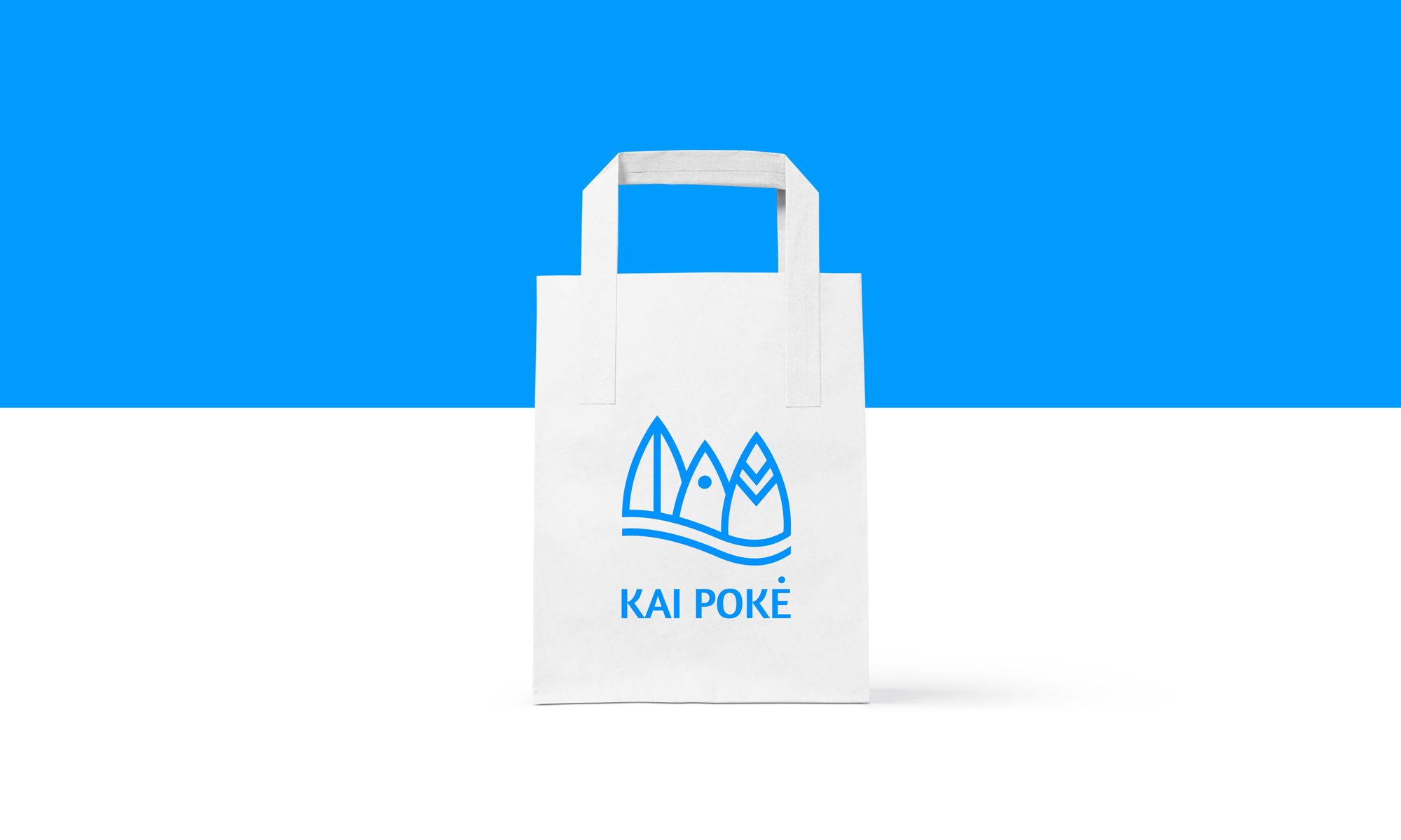 bag_new_poke.png