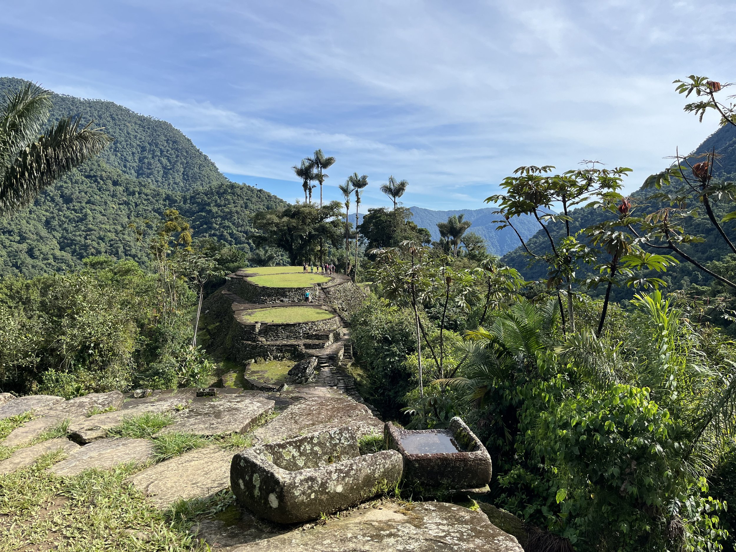 El Rio and Colombian Cloud Forests