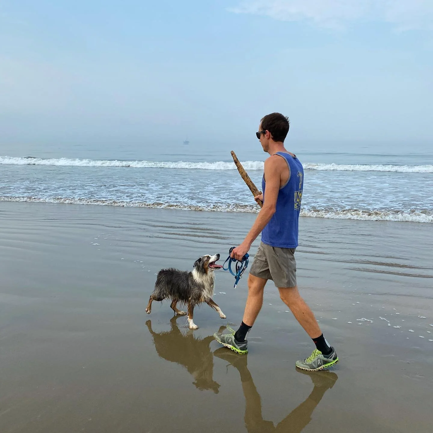 Stick and Dog: A Tail As Old As Time

#getit 
#australianshepherd #aussiesofinstagram #aussiesdoingthings #coachmattpowered