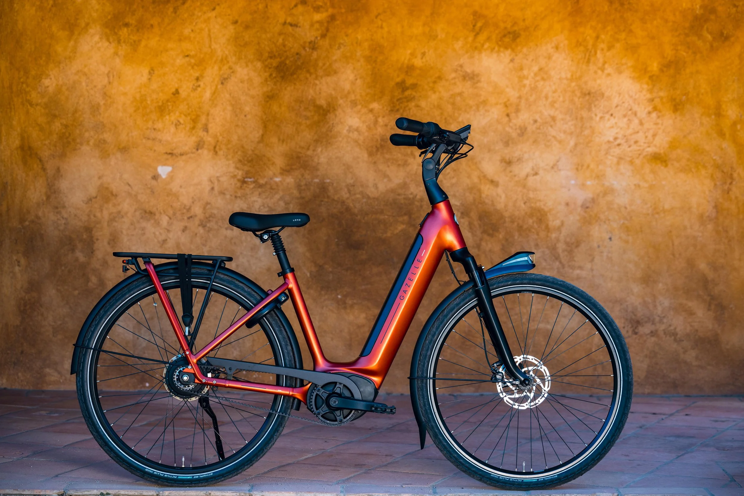 Gazelle_JBecker-2870.jpg