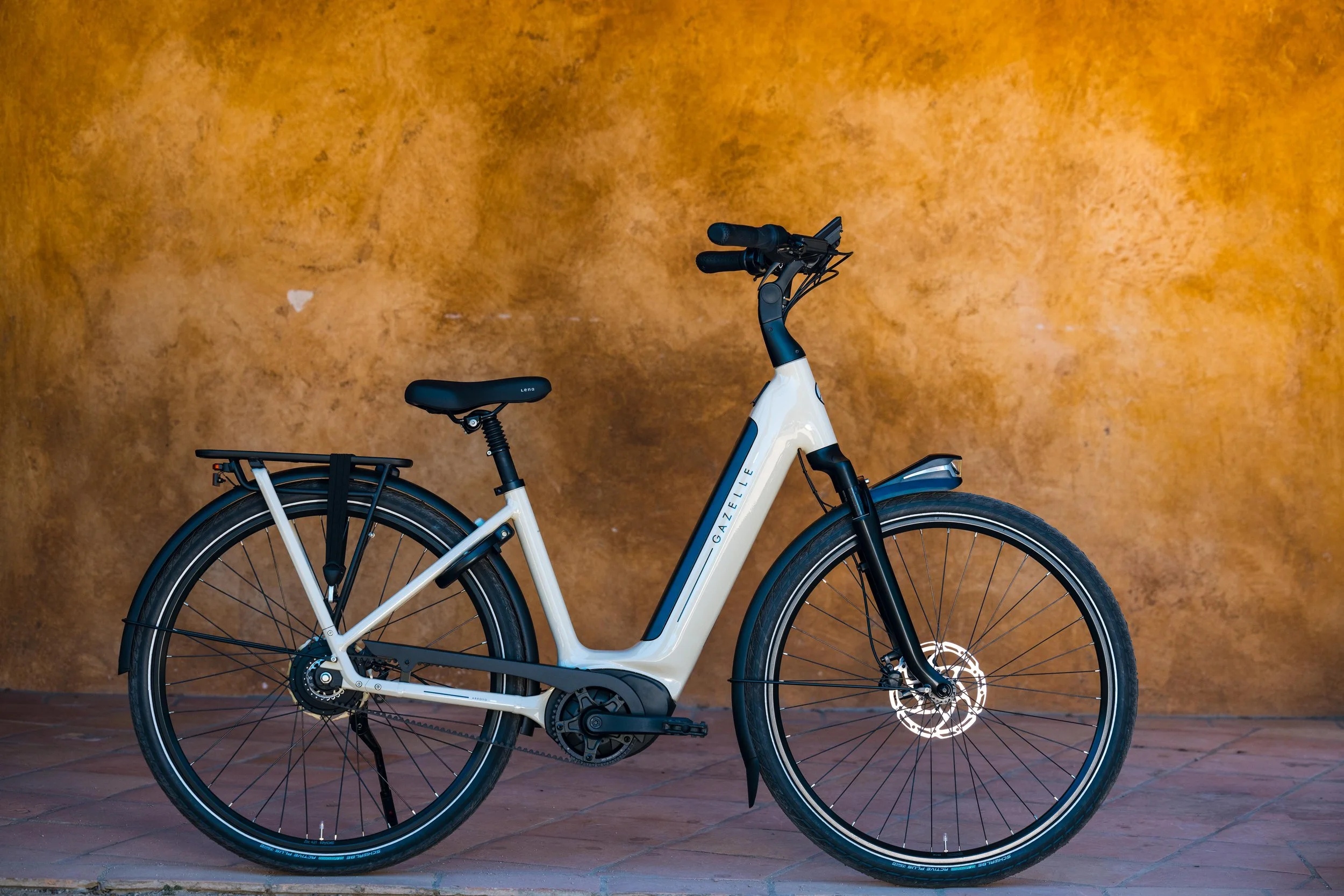 Gazelle_JBecker-2875.jpg