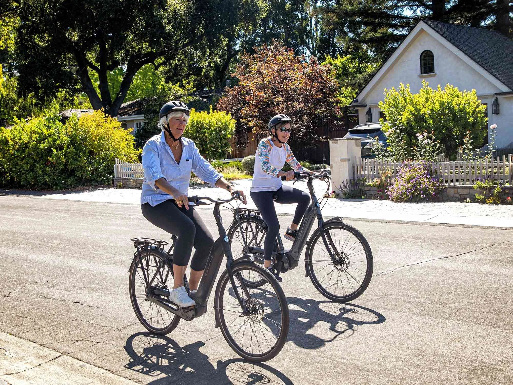 A person riding a blue Gazelle electric bicycle on a paved road, surrounded by greenery.