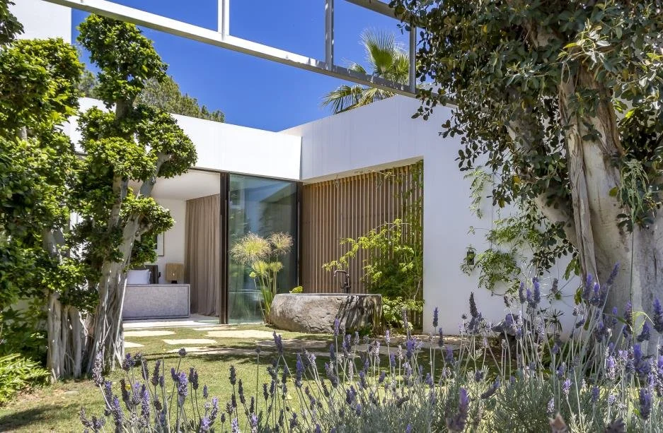 Modern house with white walls, large glass windows, surrounded by lush green trees and purple flowering plants under a clear blue sky.