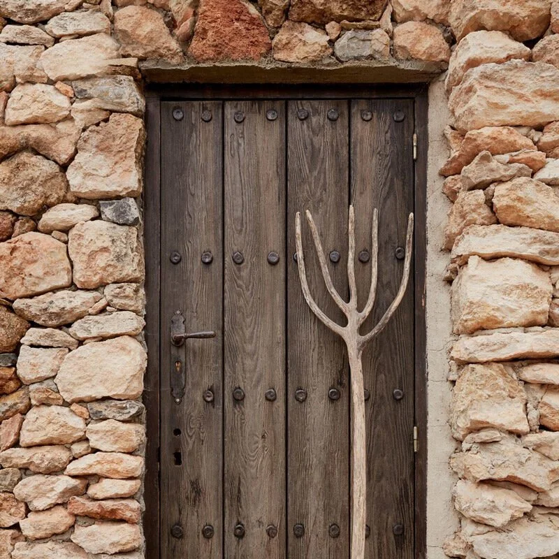 A wooden door set in a stone wall with a tree branch leaning against it.