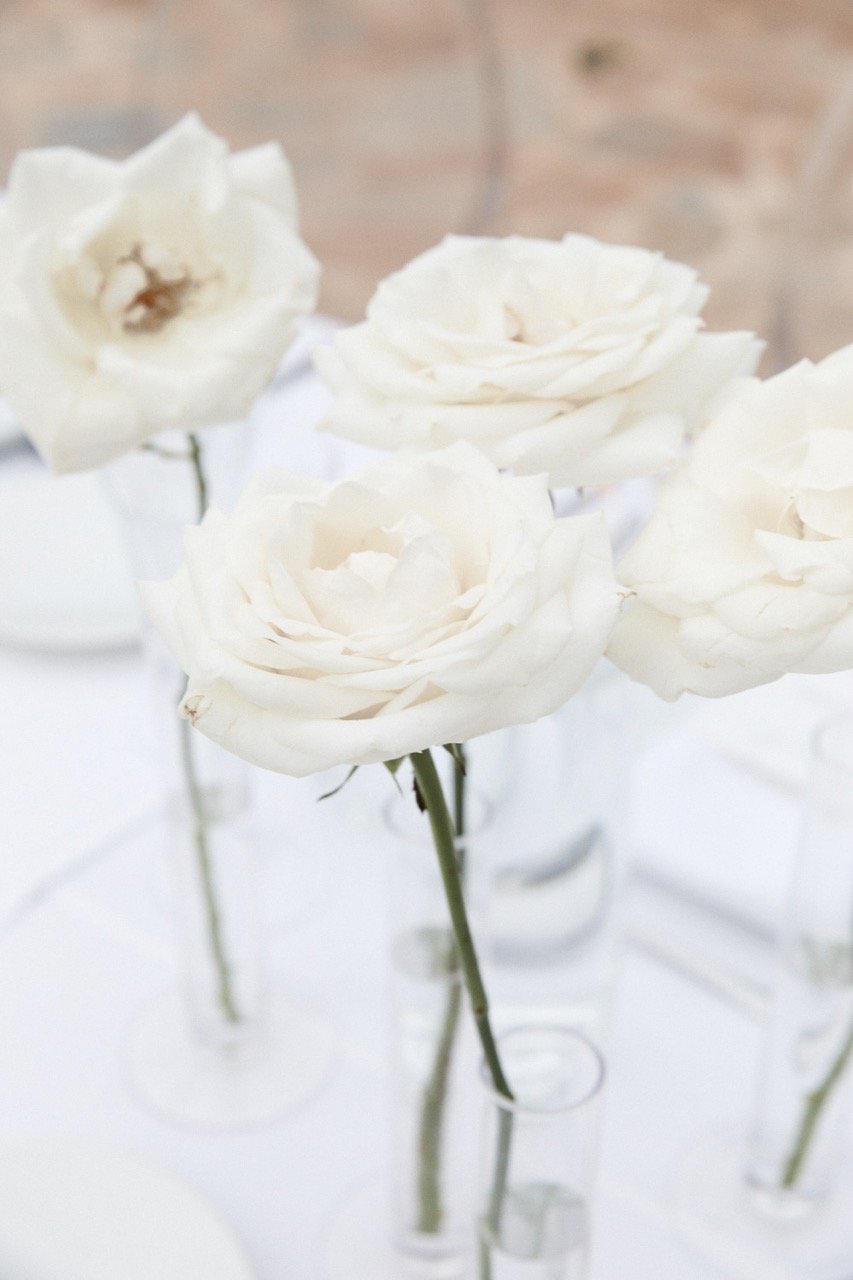 AN_preview_41 Large.jpeg