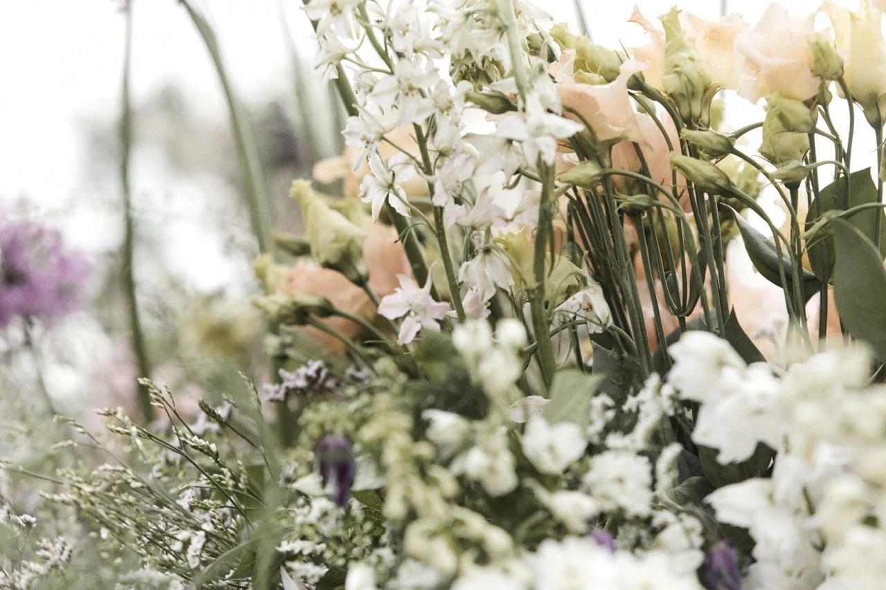 EditorialJC_16 Large.jpeg