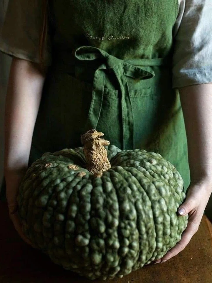 This Halloween, trade black for deep green - a palette of moss, fig and velvet ivy.
Let the night feel slower, softer and a little more unexpected.