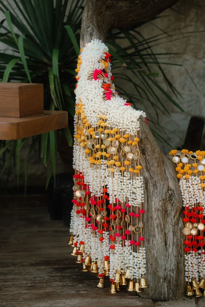 biancasardi.photography-13 Large.jpeg