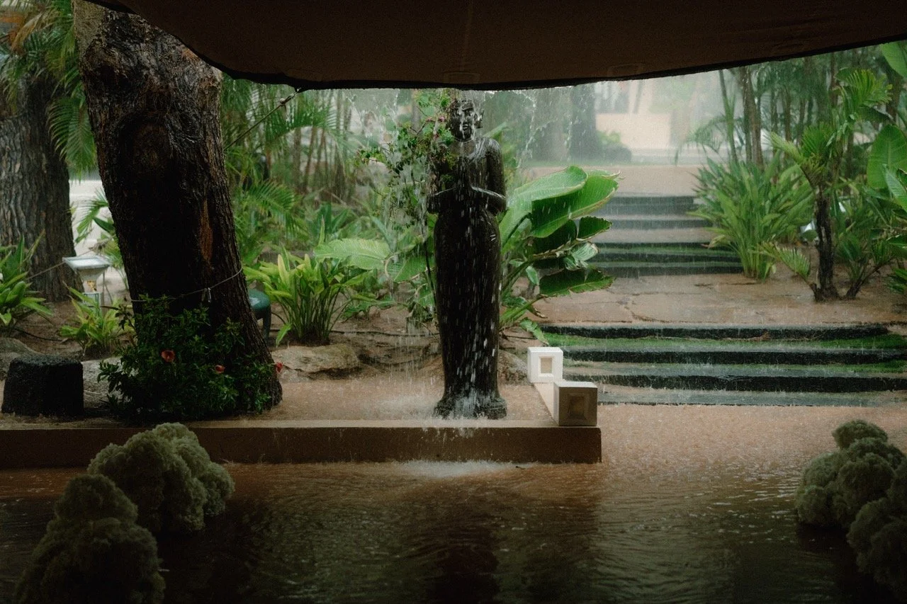 @biancasardi.photography---15 Large.jpeg