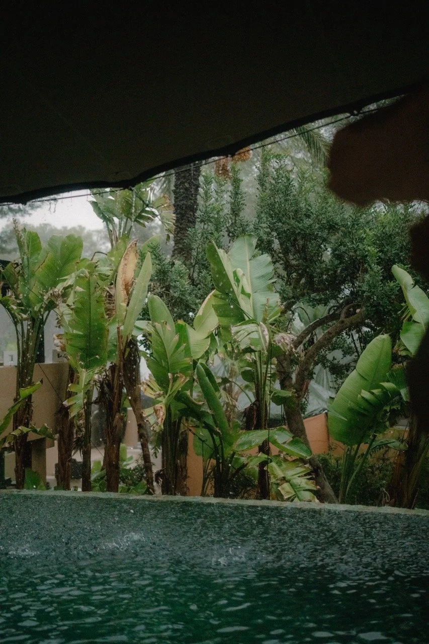 @biancasardi.photography---18 Large.jpeg