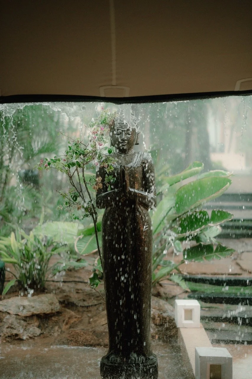 @biancasardi.photography-81 Large.jpeg