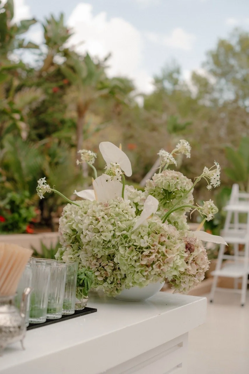 @biancasardi.photography00-13 Large.jpeg