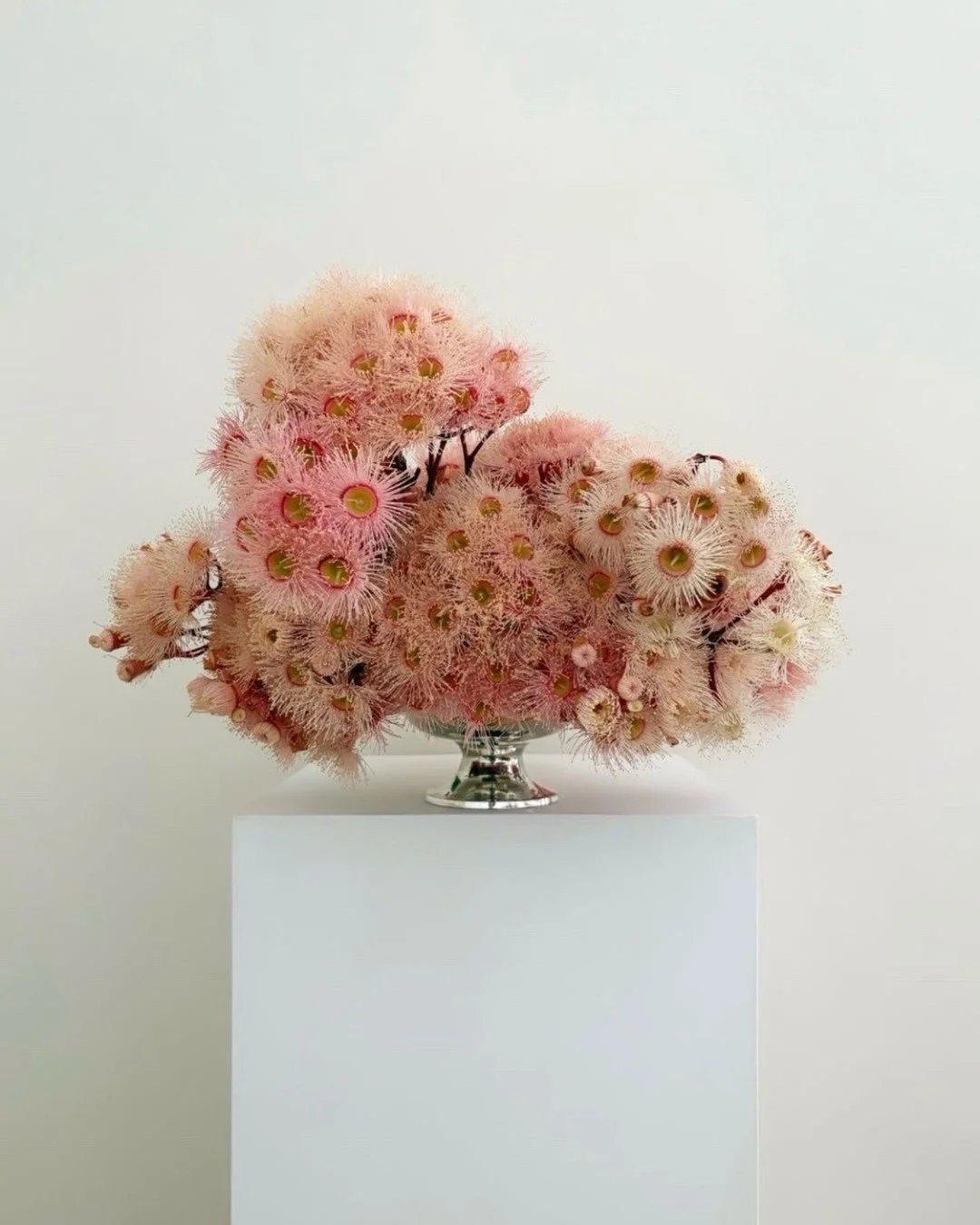 A study in softness.

A centrepiece with texture, attitude and a presence that holds the room.
A little piece of pink poetry.