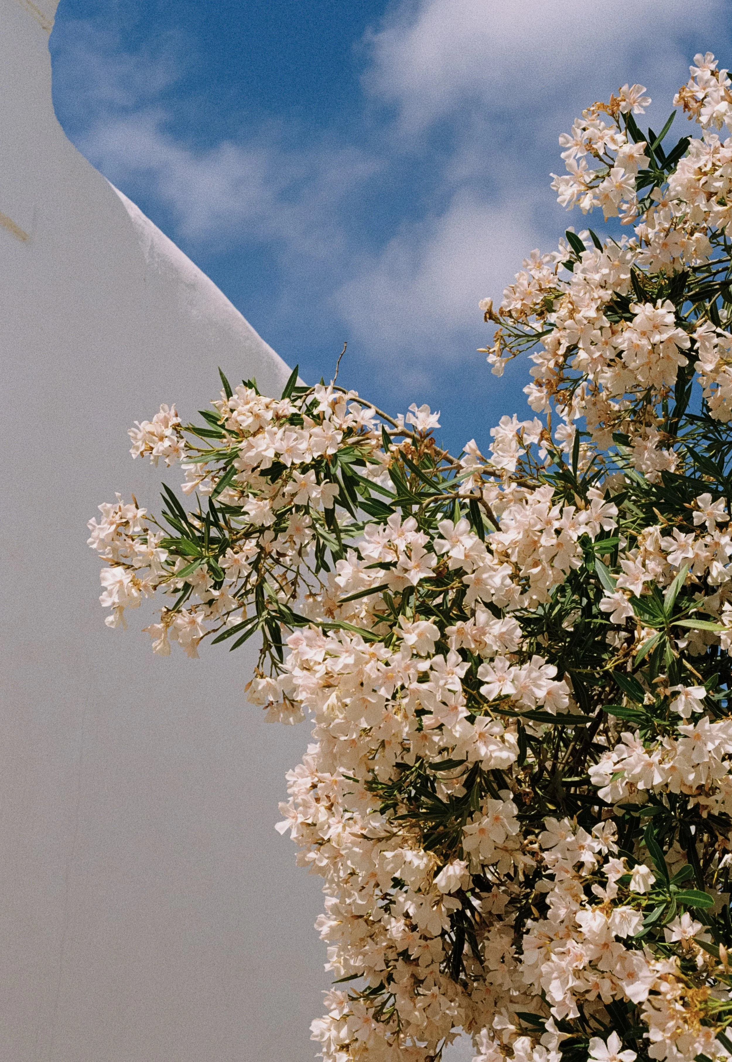 J&P_35mm151.jpg