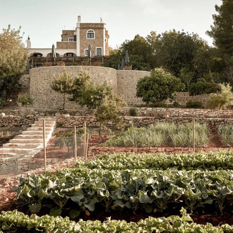 A hillside residence with a stone retaining wall, surrounded by trees and a garden with leafy plants and steps.