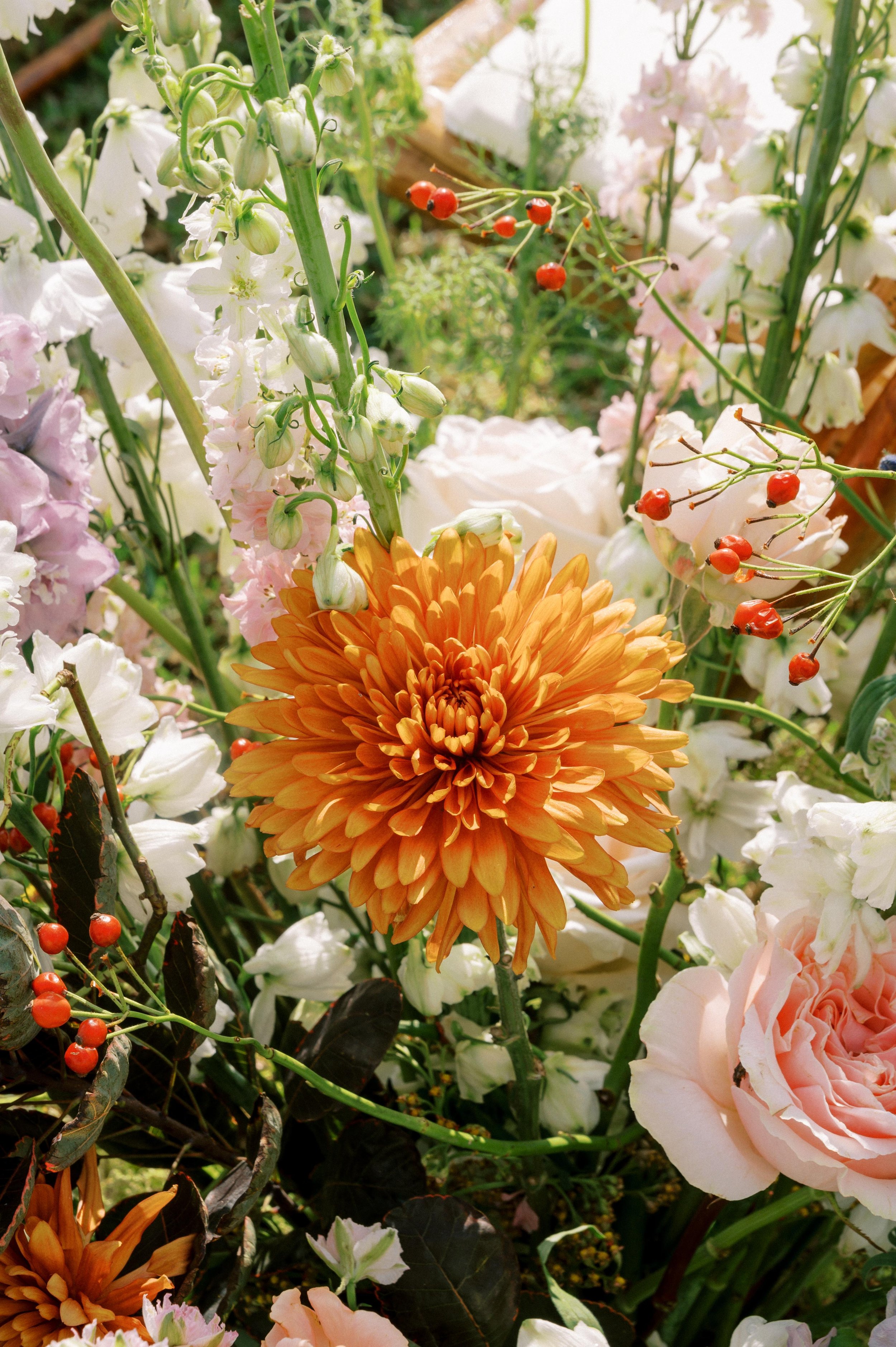 WhatsApp Image 2023-11-06 at 07.31.51.jpeg