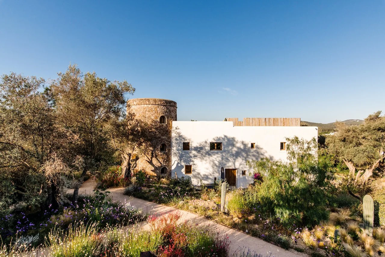 A rustic, white building with small windows, surrounded by desert plants and cacti, under a clear blue sky.