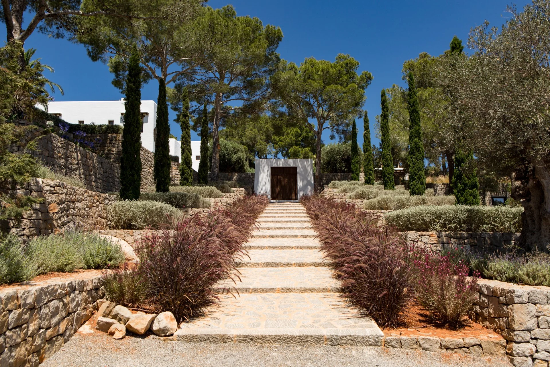 Stone steps leading up to a white building entrance surrounded by manicured bushes and tall trees, with a clear blue sky overhead.