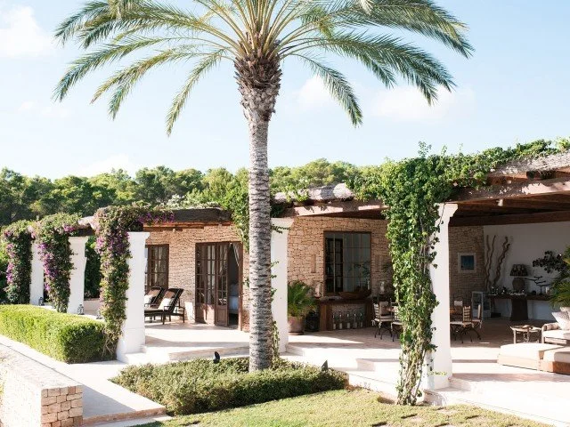Luxury residence with outdoor patio area, surrounded by greenery, with a tall palm tree in front.