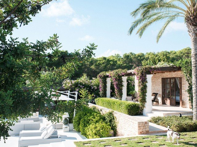 A lush backyard with green trees, flowering vines on white pillars, a pergola, and outdoor seating, including a dog walking on the grass.
