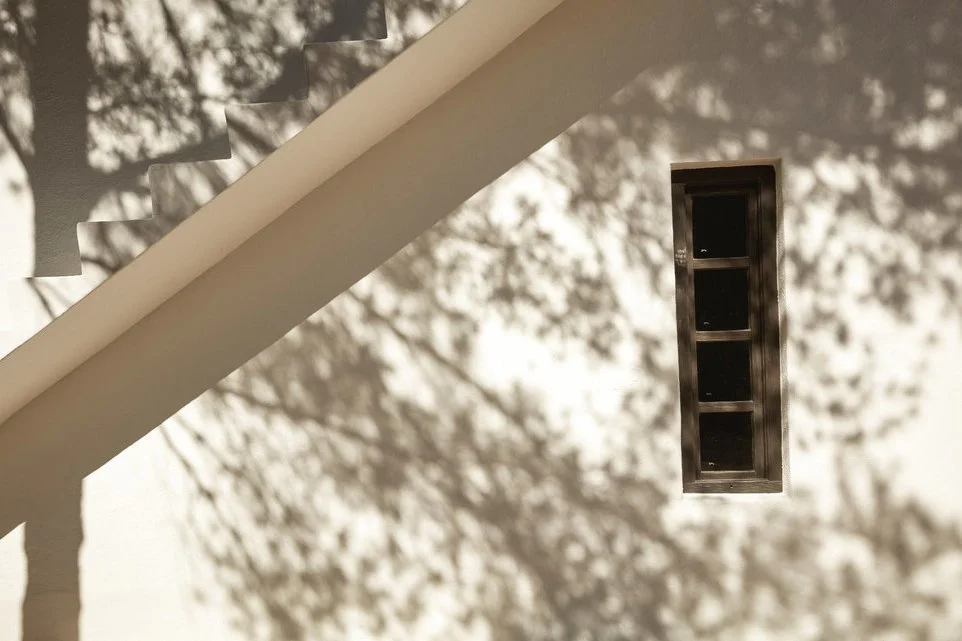 Shadow of tree branches on a white exterior wall near a small rectangular window.