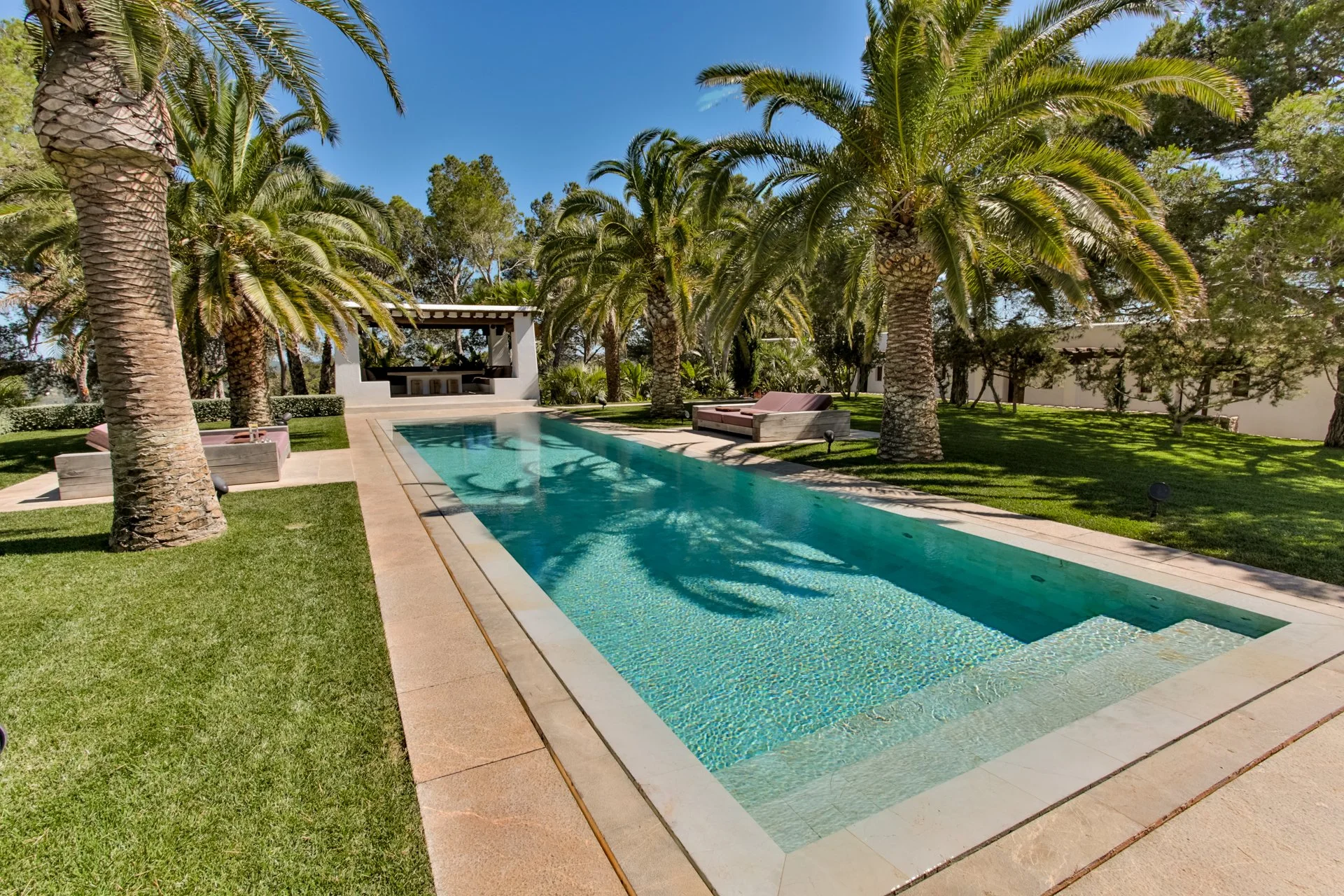 A backyard with a rectangular swimming pool surrounded by green grass and tall palm trees. There are outdoor lounge chairs and a shaded sitting area, with a clear blue sky above.