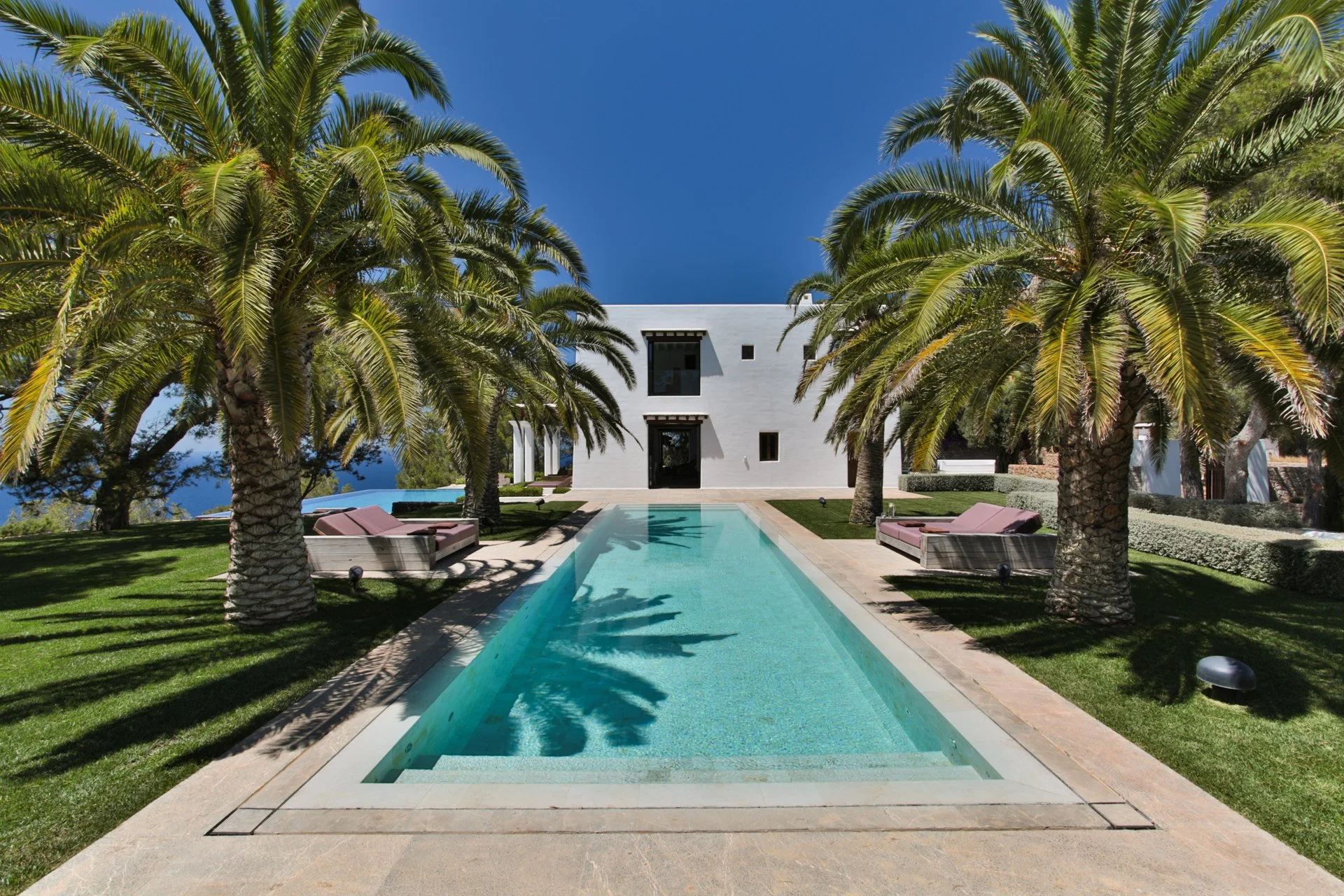 A modern white house with a rectangular swimming pool in front, surrounded by lush green lawn and tall palm trees, under a clear blue sky.